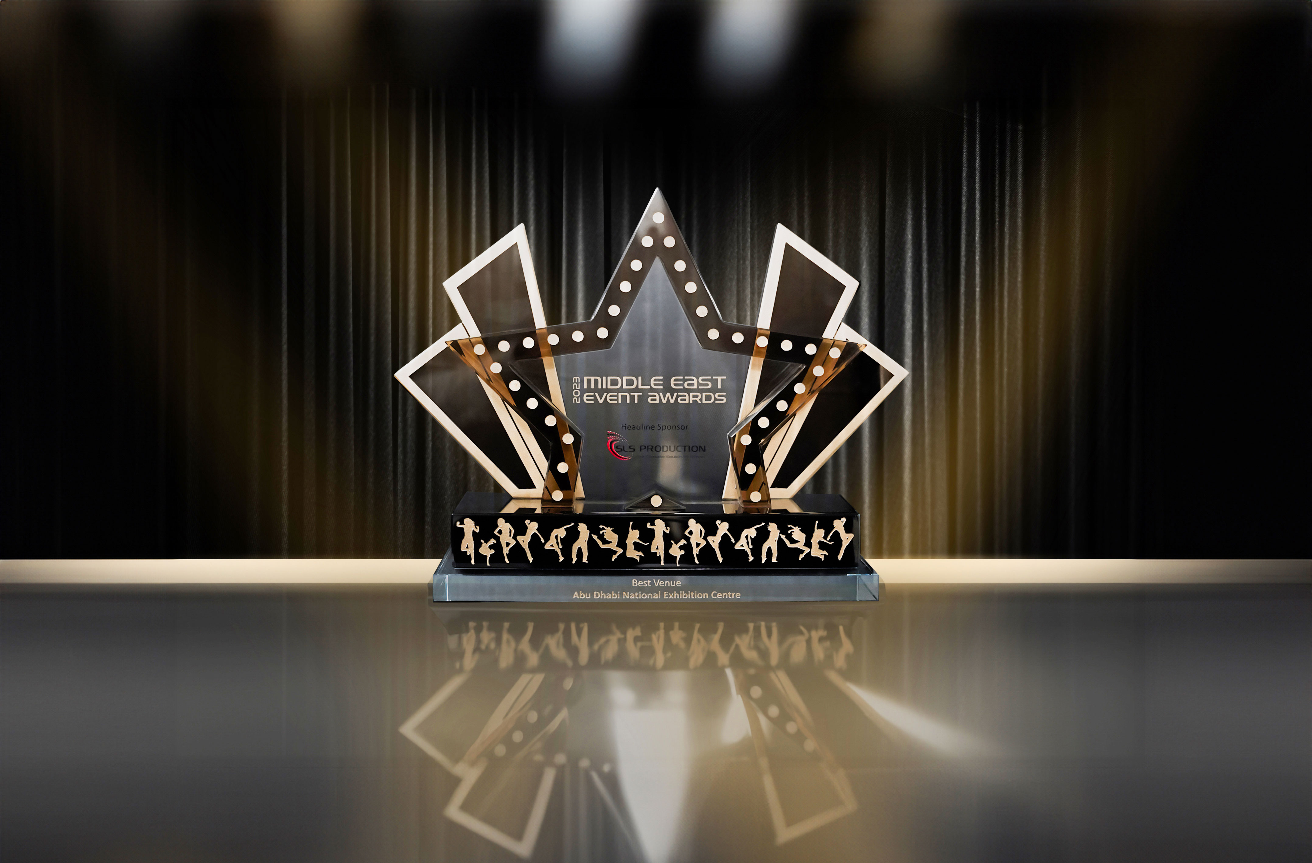 mev award